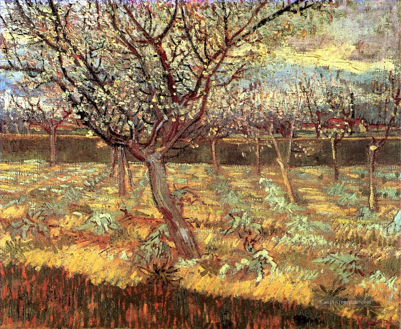 Aprikosen Bäume in der Blüte Vincent van Gogh Ölgemälde